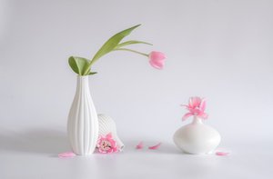  od Alice Sheng