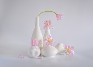  od Alice Sheng