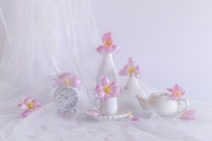  od Alice Sheng