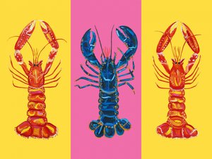 Lobster Langoustines Pop Art 2 od Alice Straker
