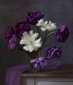 od Alina Lankina