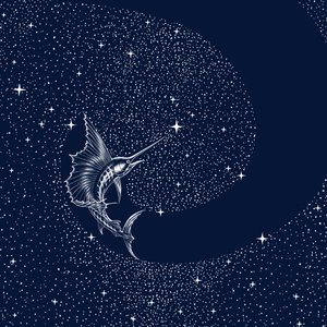 Nebeský mečoun od Alirıza ÇAKIR