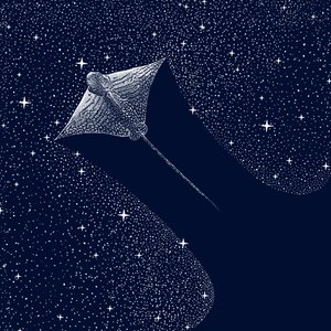 Kosmický orel Ray od Alirıza ÇAKIR