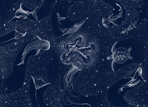 Sen o kosmickém oceánu od Alirıza ÇAKIR