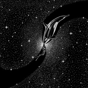 Setkání s kosmickou kosatkou od Alirıza ÇAKIR