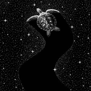 Kosmická mořská želva od Alirıza ÇAKIR