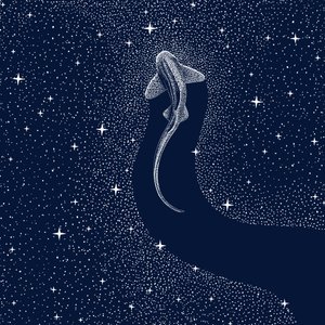 Kosmický žralok od Alirıza ÇAKIR