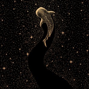 Kosmický žralok velrybí od Alirıza ÇAKIR