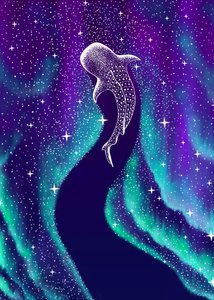 Polární záře a žralok velrybí od Alirıza ÇAKIR