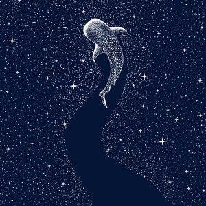 Hvězdnatý žralok velrybí od Alirıza ÇAKIR