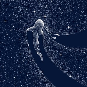 Cesta galaxií s žralokem velrybím od Alirıza ÇAKIR