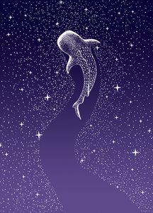 Plavání s žraloky velrybími v Galaxii od Alirıza ÇAKIR