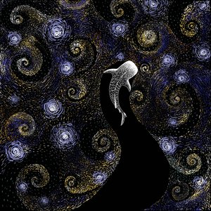 Žralok velrybí – Hvězdná noc od Alirıza ÇAKIR