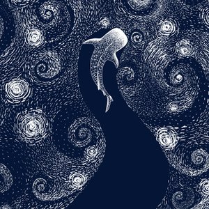 Žralok velrybí a hvězdný oceán od Alirıza ÇAKIR