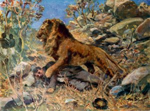 David Livingstone, Livingstone a lev (barva lito)