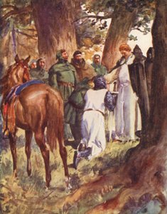 Robin Hood a jeho veselí muži: Král Richard rozpoznal (barevné lito)