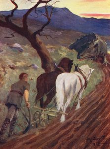 Syn lesního siláka (barevná litografie) od Allan Stewart