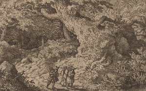 Tlustý les, pravděpodobně c. 16451656. od Allart van Everdingen