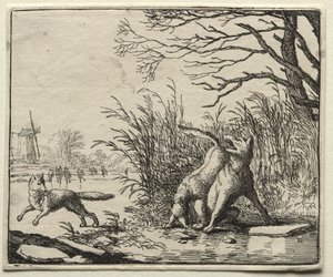 Reynard the Fox: Nové obvinění vlka. od Allart van Everdingen