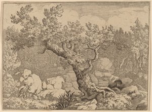 Sportovec u velkého stromu, pravděpodobně c. 16451656. od Allart van Everdingen