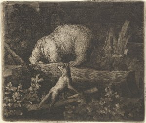 Medvěd s čenichem a předními tlapami chycený v kmeni stromu, polovina 17. století. od Allart van Everdingen