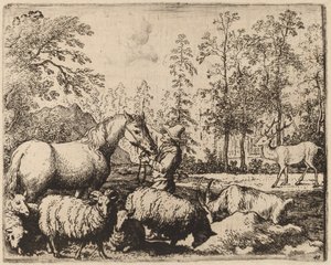 Kůň a jelen, pravděpodobně c. 16451656. od Allart van Everdingen
