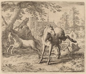 Klisna a vlk, pravděpodobně c. 16451656. od Allart van Everdingen