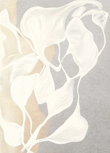 Plynulé organické tvary