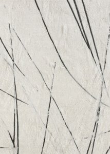 Textura řady Organic Lines od Alma