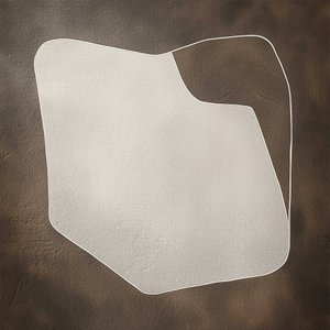 Organický minimalistický tvar