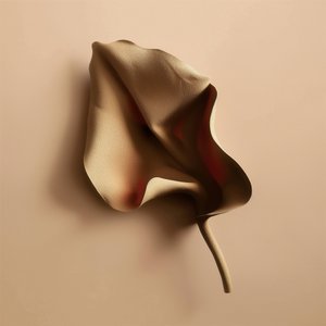 Jemný organický tvar