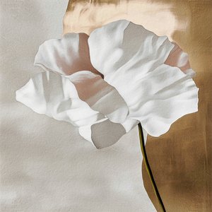 Bílá květina – Zlato od Alma