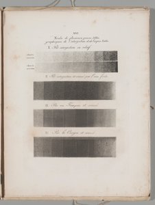 Umění litografie: Ukázky tónování, deska XVI od Alois Senefelder