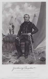 Zachary Taylor (rytina) od Alonzo (after) Chappel
