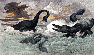 Období Lias (spodní jura): Plesiosaur a Ichthyosaur, přírodní výtvor a živé bytosti (od Jules Renegade) Kresba A. Demarle. 1885