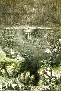 Prehistoire-Terre et Mers: Počátek silurského období (J. Rengade. Kresba Demarle. 1885 od Alphonse Demarle