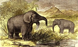 Prehistorie-Miocén: Zprava doleva: Dinotherum a Mastodonte. Přírodní stvoření a živé bytosti. Kresba A. Demarle. 1885