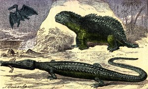 Prehistorie - Jurské období: Teleosaur a Hyleosaur. Pterodaktyl nahoře. Přírodní stvoření a živé bytosti. Kresba A. Demarle. 1885