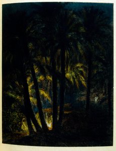 Dinetova ilustrace z knihy "Mirages" Scény z arabského života. 1906. Knihu Mirages, Scenes De La Vie Arab ilustroval Etienne Dinet s komentářem Silmana Ben Ibrahima Bamera. Nasreddine Dinet se narodil jako Alphonse-Etienne Dinet; (1861-1929) byl fren od Alphonse Etienne Dinet