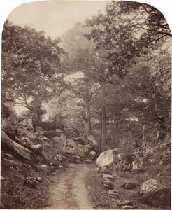 Fontainebleau, asi 60. léta 19. století (foto) od Alphonse Francois Jeanrenaud