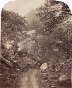 Fontainebleau od Alphonse Jeanrenaud