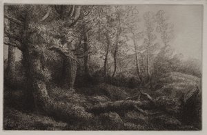 Studie lesa od Alphonse Legros