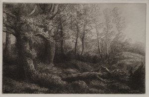 Woodland Study. od Alphonse Legros