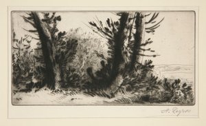 Travers šampion (Cross Country) od Alphonse Legros