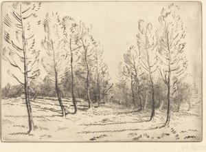 Alej topolů od Alphonse Legros