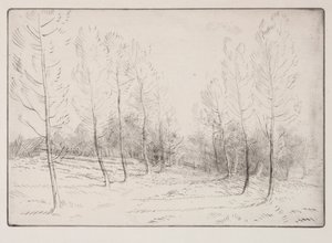 Alej topolů od Alphonse Legros