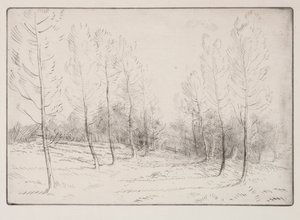 Alej topolů. od Alphonse Legros