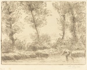 Břehy Liane Les bords de la Liane. od Alphonse Legros