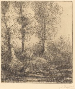 Břehy Saint-Pre Rive du Saint-Pre. od Alphonse Legros