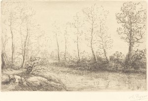 Břízy: Okraj vody viděný v ranním světle od Alphonse Legros